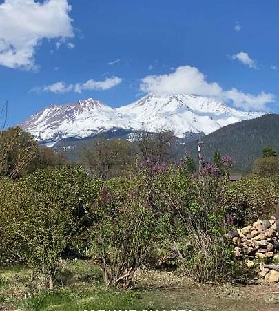 Angel Cottage With A Sauna Or The Cozy With A Jacuzzi Tub, Both Are Studios With A View Of Mount Shasta Exterior foto
