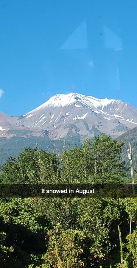 Angel Cottage With A Sauna Or The Cozy With A Jacuzzi Tub, Both Are Studios With A View Of Mount Shasta Exterior foto