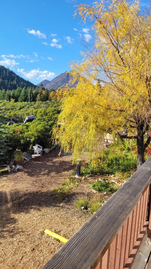 Angel Cottage With A Sauna Or The Cozy With A Jacuzzi Tub, Both Are Studios With A View Of Mount Shasta Exterior foto